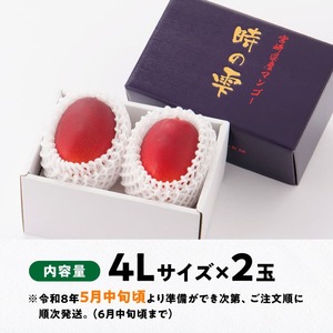 【令和8年発送】宮崎県産 完熟マンゴー「時の雫」 4L×2玉 【 期間限定 数量限定 先行予約 果物 フルーツ マンゴー 宮崎県産 九州産 完熟マンゴー みやざきマンゴー 】