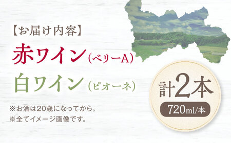 赤(ベリーA)+白(ピオーネ) 1本約720ml 各1本 計1440ml BKAG005 ワイン