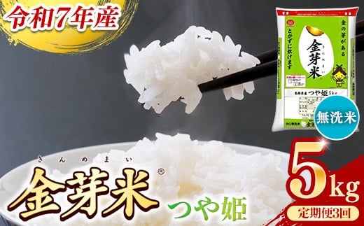 
            BG無洗米・金芽米つや姫 5kg×3ヵ月 定期便【毎月】【令和7年産 時短 健康 特別栽培米 うまみ 甘み 栄養 おいしい 粒ぞろい ふっくら ビタミン ミネラル 島根県 安来市】【価格改定】
          