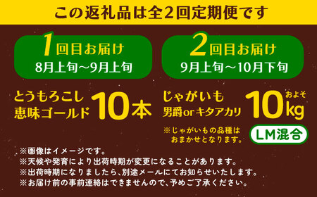 【全2回定期便】とうもろこし（10本）＆じゃがいも（10kg）とうもろこし とうもろこし とうもろこし[BEAA008]