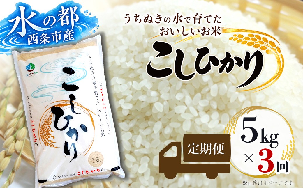 
                  【定期便3ヶ月】 米 令和8年産 新米 コシヒカリ （5kg） 精米 ｜ 愛媛県西条市産 新米 こしひかり 定期便 米 5㎏ 3回
                