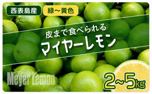 
                  ＜選べる容量/発送年度＞【2026年発送/2027年発送】まろやか多汁マイヤーレモン （島レモン）約2～５kg
                