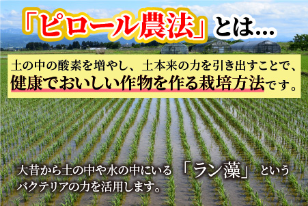 【令和6年産 新米】【3ヶ月定期便】こだわりの米！弱アルカリ性のピロール米 こしひかり 白米 5kg×3回 計15kg [C-009001]