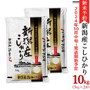 米 10kg 令和4年 白米 31-07新潟県産コシヒカリ10kg（5kg×2袋）