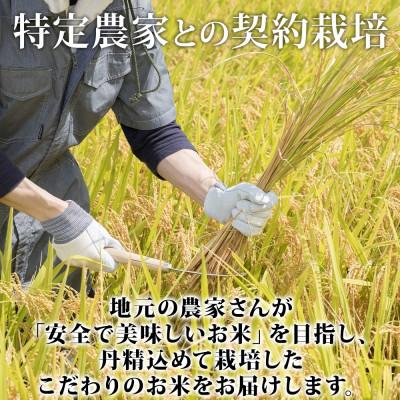 ふるさと納税 倶知安町 北海道 倶知安町産 ゆめぴりか 精米 5kg 数量限定 【2026年3月出荷】 |  | 02