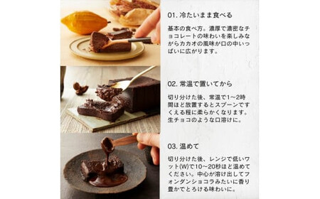 幸せの生ガトーショコラ 450g 定期便12ヶ月【チョコレート 特濃厚 濃密な味わい 極上の口溶け 極上のチョコレート 一流の料理人 チョコレート本来の味わいと甘み カカオの風味やコク カカオ 至極の