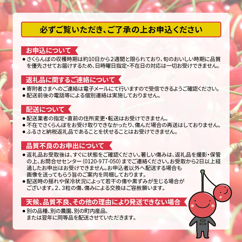 先行受付 北海道 仁木町産 さくらんぼ 佐藤錦 600g（300g×2）Lサイズ以上 ジューシー 旬のフルーツ 旬の果物 国産 日本産 サクランボ チェリー フルーツ 果物 果物類 ギフト 仁木町 [