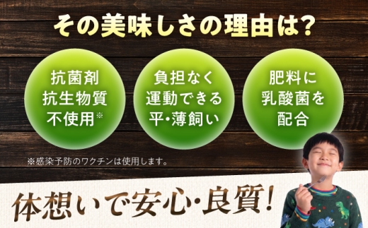 【12月発送】恵那どり中抜き(丸鶏) 約1.8~2.2kg / 冷凍 鶏肉 恵那鶏 お肉 丸鶏 恵那 / 恵那市 / トーノーデリカ [AUGM001-12]
