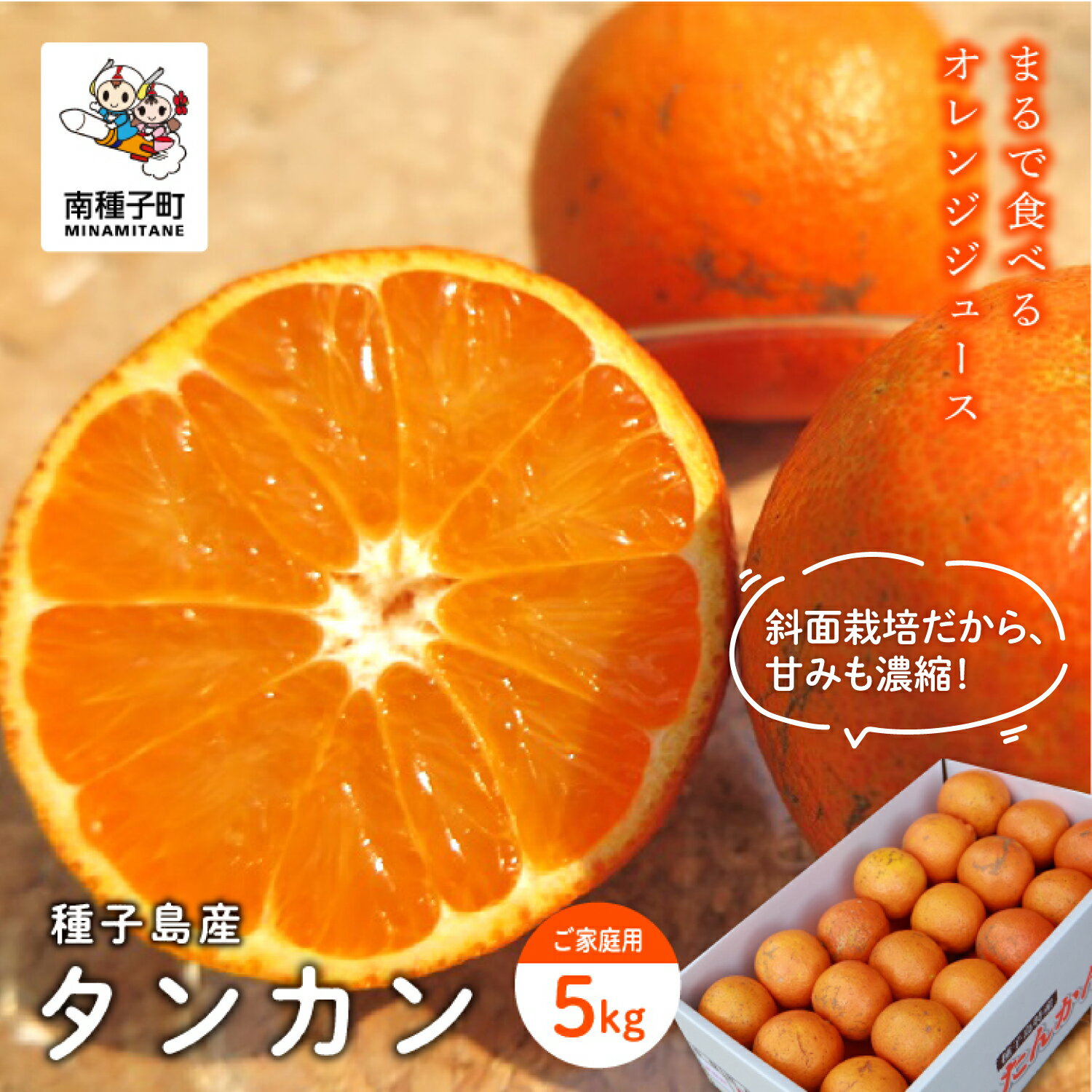 【ふるさと納税】《 先行予約 》訳あり 種子島産タンカン 約 5kg ( 24玉〜36玉 ) 家庭用 タンカン たんかん オレンジ みかん 柑橘 果物 フルーツ グルメ お取り寄せ お正月 人気 返礼品 南種子町 鹿児島 《 2027年2月中旬〜3月中旬頃順次発送 》【南種子町果樹部会】