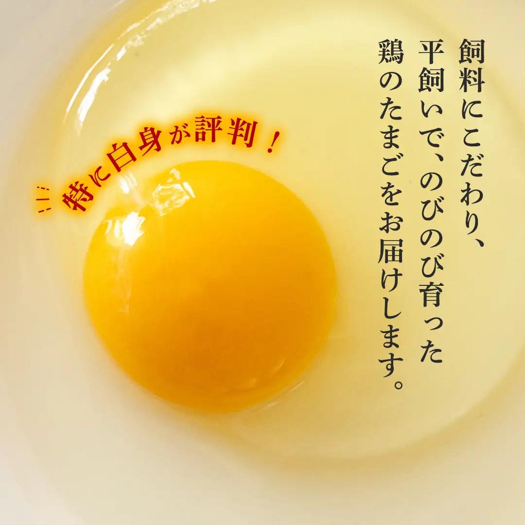 生産者のこだわり！たまごかけ ご飯セット (上ホ醤油（株）ぶっかけ卵に醤油150ml×2 たまご 32個 産直米 2kg) 産地直送 たまご 玉子 生卵 鶏卵 タマゴ 平飼い 桜川市産 茨城県産 卵 