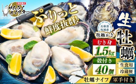 牡蠣 生食 坂越かき むき身 500g×3、 殻付き 40個