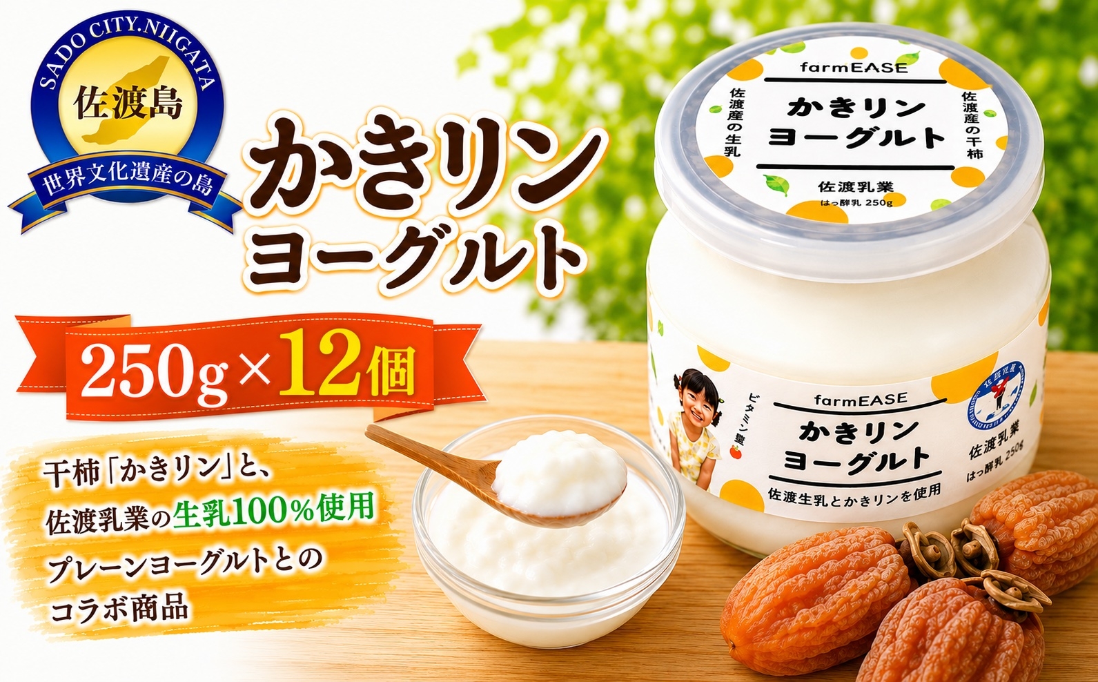 
                  【佐渡産 かきリンヨーグルト】250g×12パック 佐渡産生乳100%使用 干柿入り 冷蔵 | 新潟県産ヨーグルト 佐渡産ヨーグルト 佐渡乳業 ヨーグルト よーぐると 生乳 干柿 干し柿 ほしがき 柿 フルーツヨーグルト 乳製品 朝食 デザート にいがた さど 新潟県 佐渡市
                