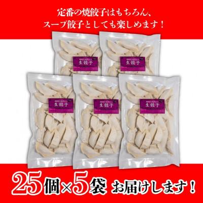 ふるさと納税 松山市 あさの生餃子 【25個入×5パック 計125個】 |  | 03