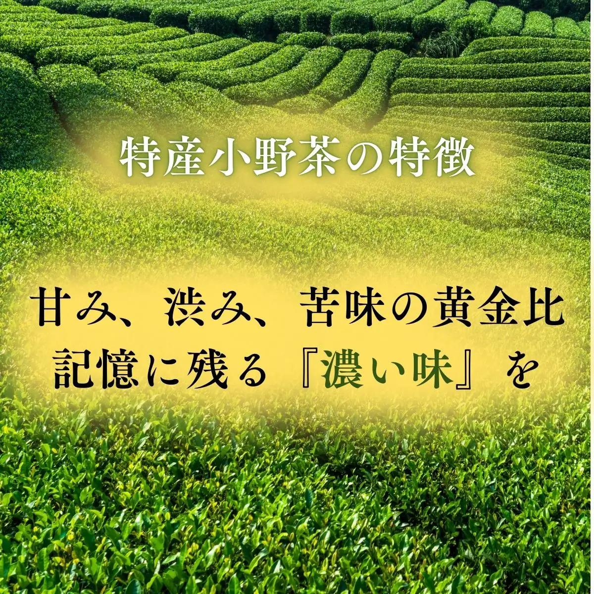 【宇部特産】小野茶のテリーヌ 1本