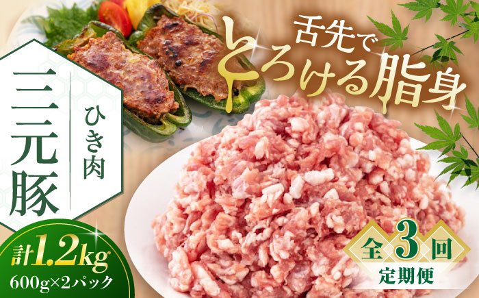
【全3回定期便】三元豚 ひき肉1.2kg（600g×2パック）《喜茂別町》【平田牧場】 肉 豚肉 ミンチ 豚ミンチ 餃子 つくね 冷凍配送 北海道 [AJAP123] 39000 39000円
