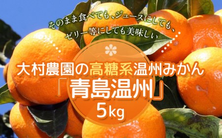 【先行予約】大村農園の温州みかん 青島温州 5kg | 津久見市