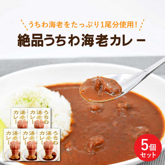 【ふるさと納税】【時間指定 可能】【出汁も身もうちわ海老！！】絶品 うちわ海老カレー（5食セット） [KAA206]