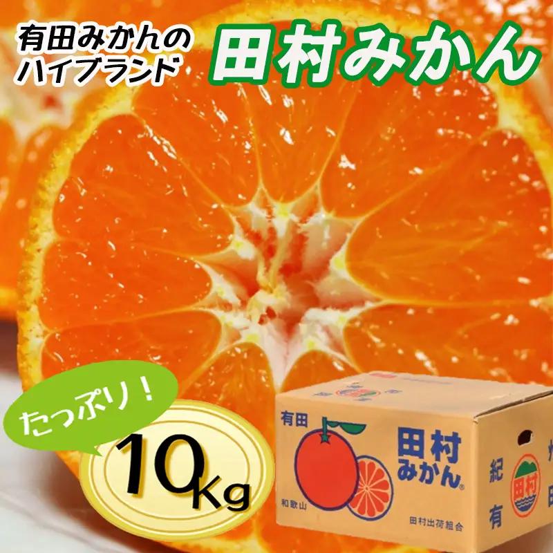 【先行予約】【秀品】田村みかん 和歌山有田 約10kg