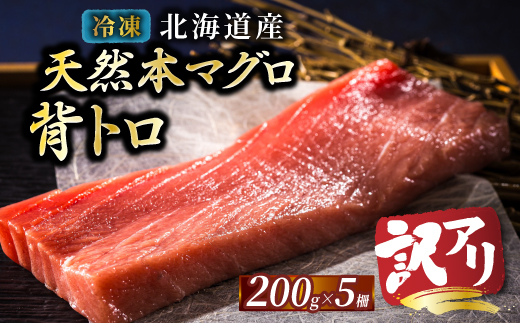 北海道産 天然 本マグロ 背トロ 冷凍 200g × 5柵 (訳あり 筋あり) 国産の本鮪を食卓へ【配送不可地域：離島】