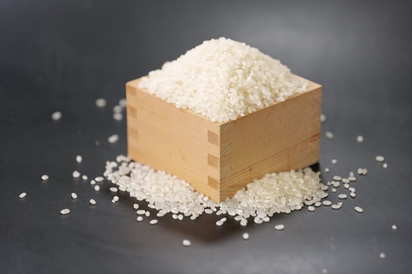 
            特別栽培米　丹波コシヒカリ　玄米10㎏
          