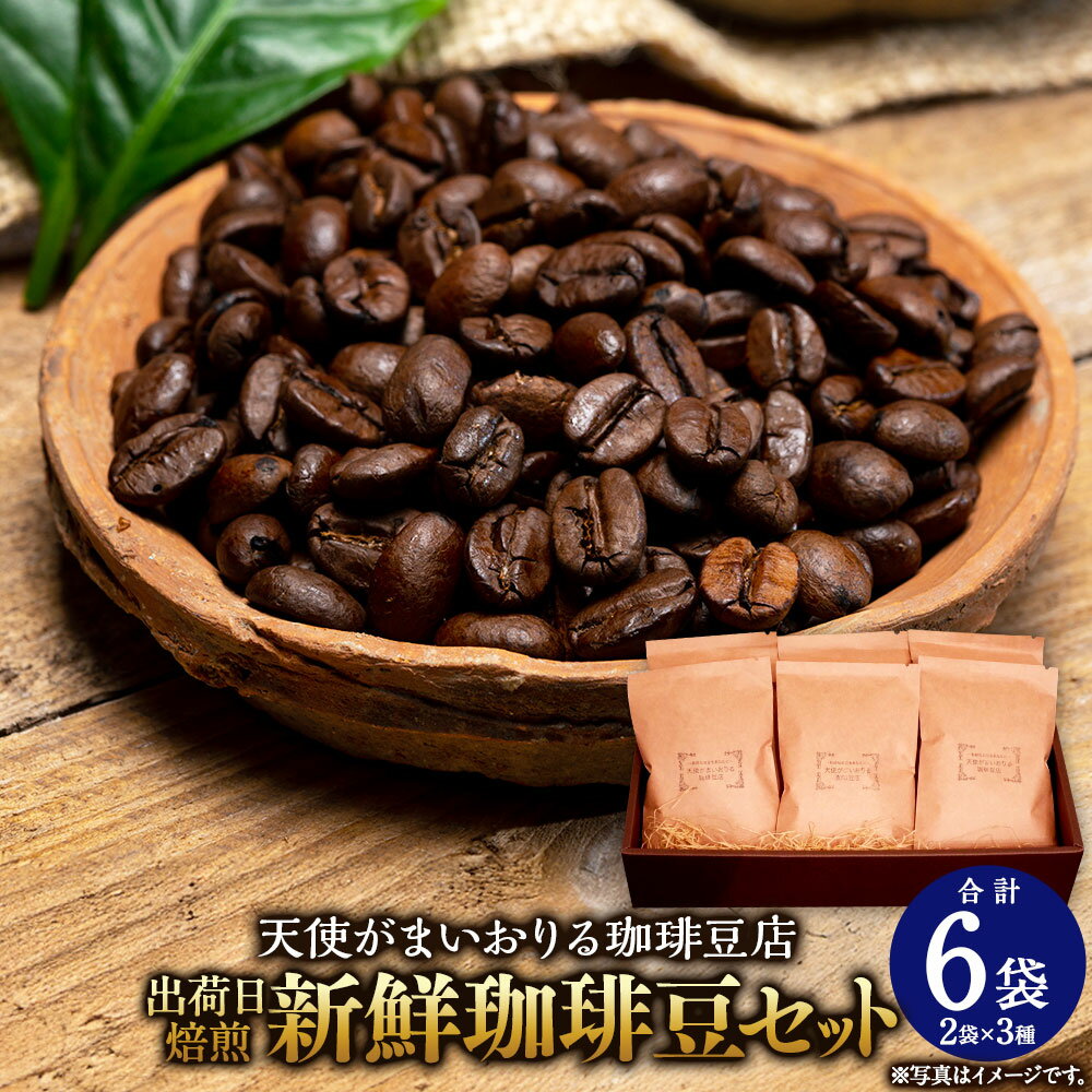 【ふるさと納税】出荷日焙煎『新鮮珈琲豆セット』3種 2袋 合計6袋 コーヒー 珈琲 コーヒー豆 豆 珈琲豆 焙煎 福岡県 苅田町 送料無料