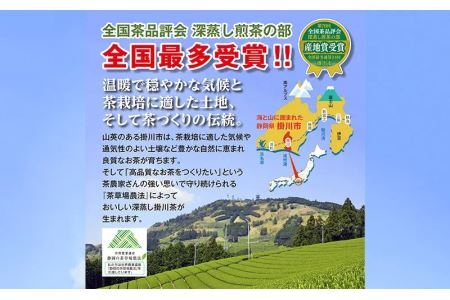 お茶屋さんのまかない茶 深蒸し掛川茶ティーバッグ 2.5g×100個×4袋 計400個 山英 6164