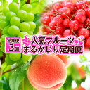 【ふるさと納税】【定期便3回】人気フルーツ まるかじり定期便 [2024年～2025年 お届け] FY24-030