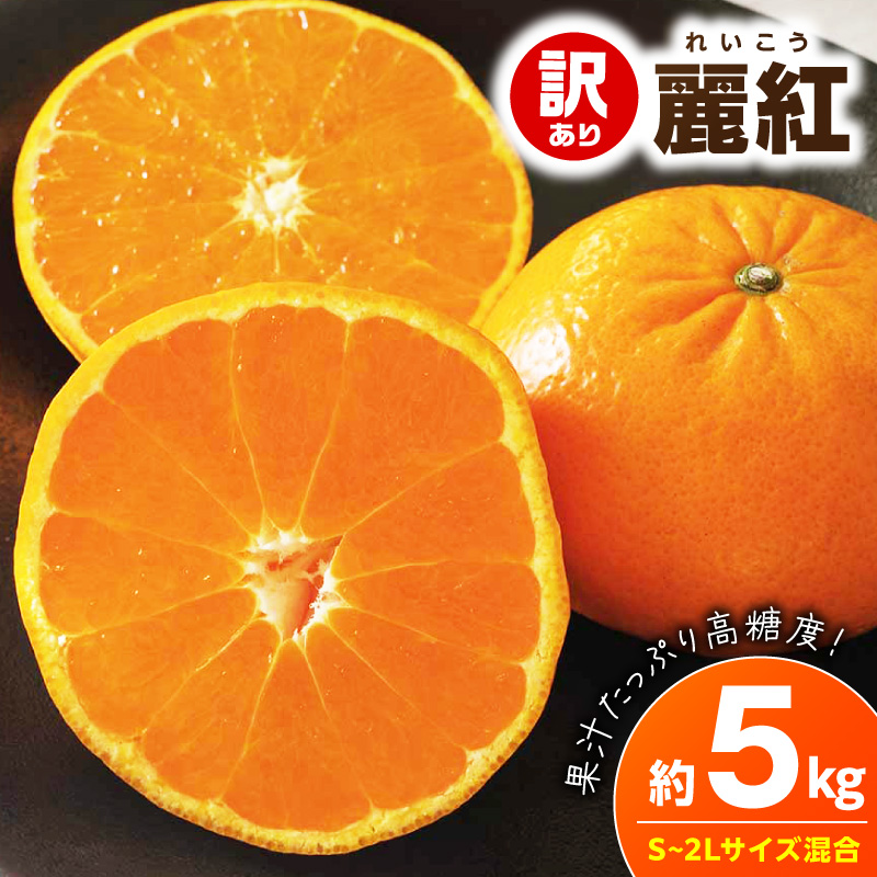 【2027年先行予約】《訳あり 家庭用》麗紅 約5kg（S～2Lサイズ混合）_EQ6004