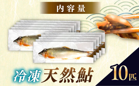 天然あゆ 19〜22cm 10匹【スピード配送】/ 恵那市 / 恵那物産館 [AUFS008]