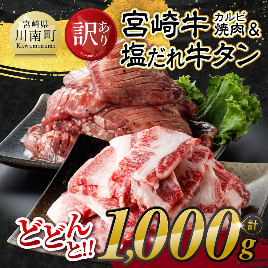 【令和8年7月発送】【訳あり】 宮崎牛カルビ焼肉＆塩だれ牛タン　計1,000g　肉 焼肉 牛肉 [E11148r807]