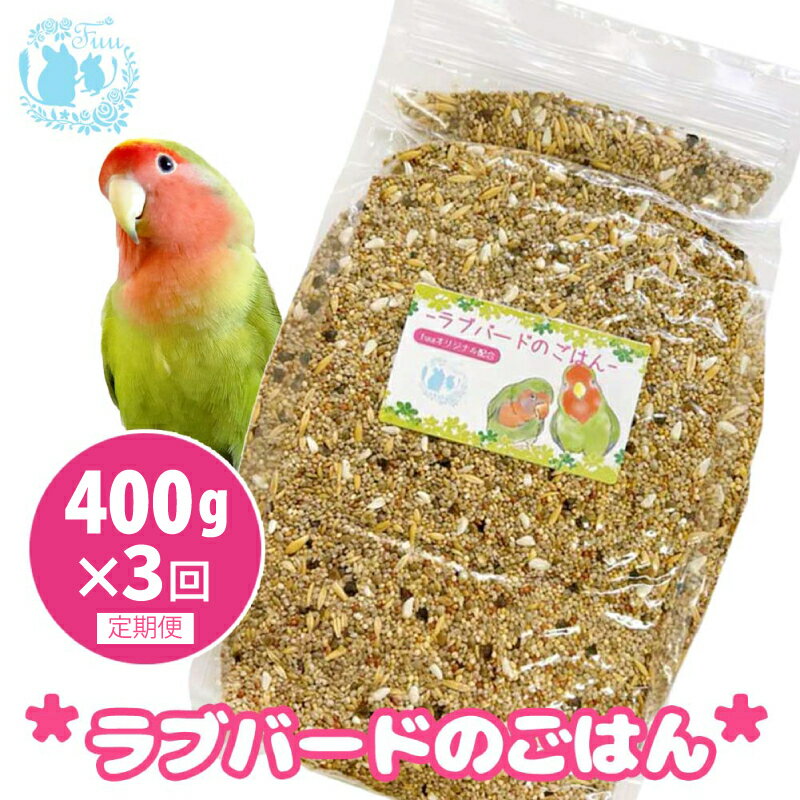 【ふるさと納税】【3ヶ月定期便】fuu ラブバードのごはん インコ 小鳥 エサ ペット用品 複数種 シード オリジナル配合 400g 栄養バランス 麻の実 ソバの実 大麦 小麦 燕麦 玄ヒエ 玄キビ 赤キビ カナリヤシード 食感様々 お取り寄せ 愛知県 小牧市 送料無料