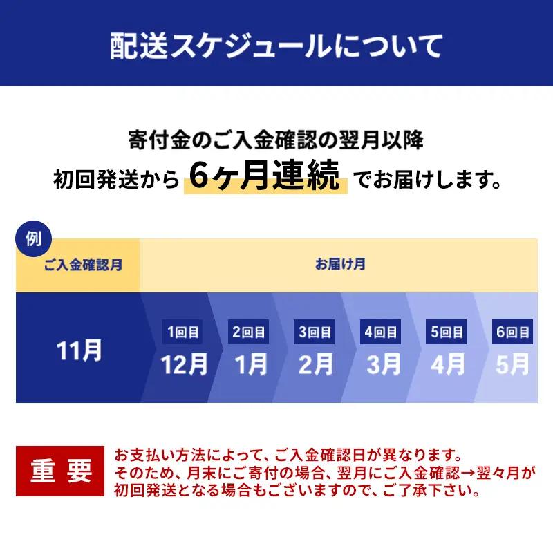 全6回 定期便 冷凍ほたて貝柱 1kg（41～60粒）