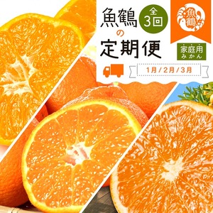 〈定期便〉【1・2・3月 全3回】紀州和歌山産旬のご家庭用柑橘セット(みかん・不知火・清見)  | フルーツ セット※離島への配送不可