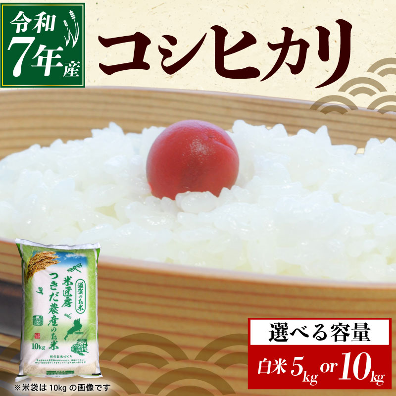 【ふるさと納税】 令和7年産 コシヒカリ 白米 選べる 容量 5kg×1袋 10kg×1袋 米 コメ お米 5キロ 10キロ 米5kg 米10kg 新米 ご飯 ごはん こしひかり おにぎり お弁当 5kg 10kg 5 10 滋賀 彦根
