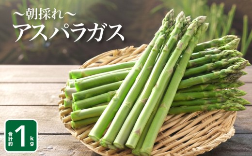 【7~9月発送】アスパラガス 1kg S~M 朝採れ 大容量 アスパラ サイズ混合 訳あり セット 野菜 新鮮 夕飯 おかず お弁当 有機肥料使用 新鮮アスパラ 選べる サイズ 下関 山口