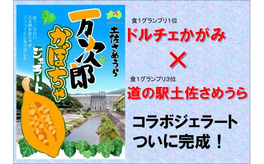 
ttm96万次郎かぼちゃのジェラート（6個セット）
