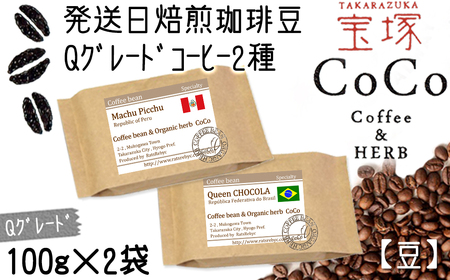 【宝塚】Qグレード珈琲2種類 当日自家焙煎珈琲100g×2袋 miniサイズ【豆】