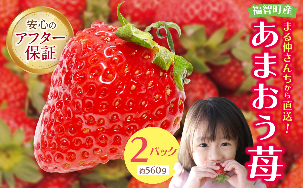 アルギット農業「あまおう苺」(2パック)