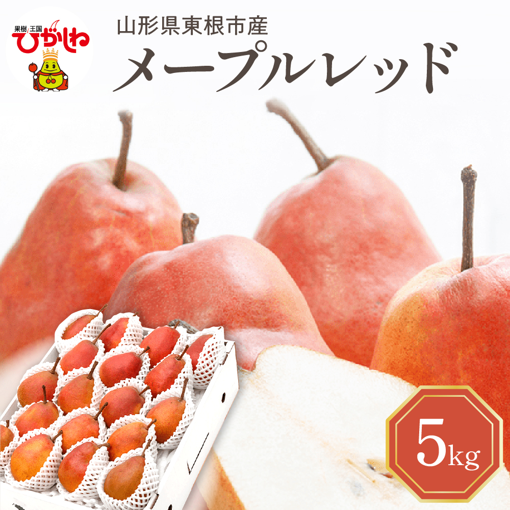【令和7年産 先行予約】西洋梨メープルレッド5kg 山形県 東根市 東根農産センター提供 hi027-192-1