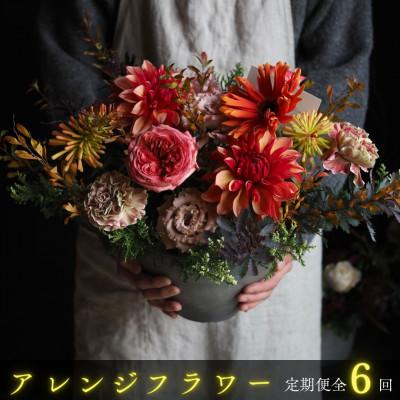 ふるさと納税 中間市 【毎月定期便】【margue】季節のアレンジメントフラワーA全6回