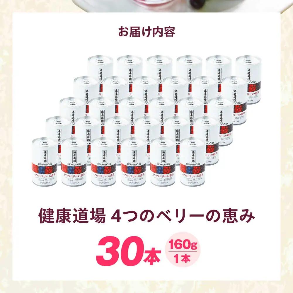 健康道場 4つのベリーの恵み 160g×30本[AOAD052]健康飲料