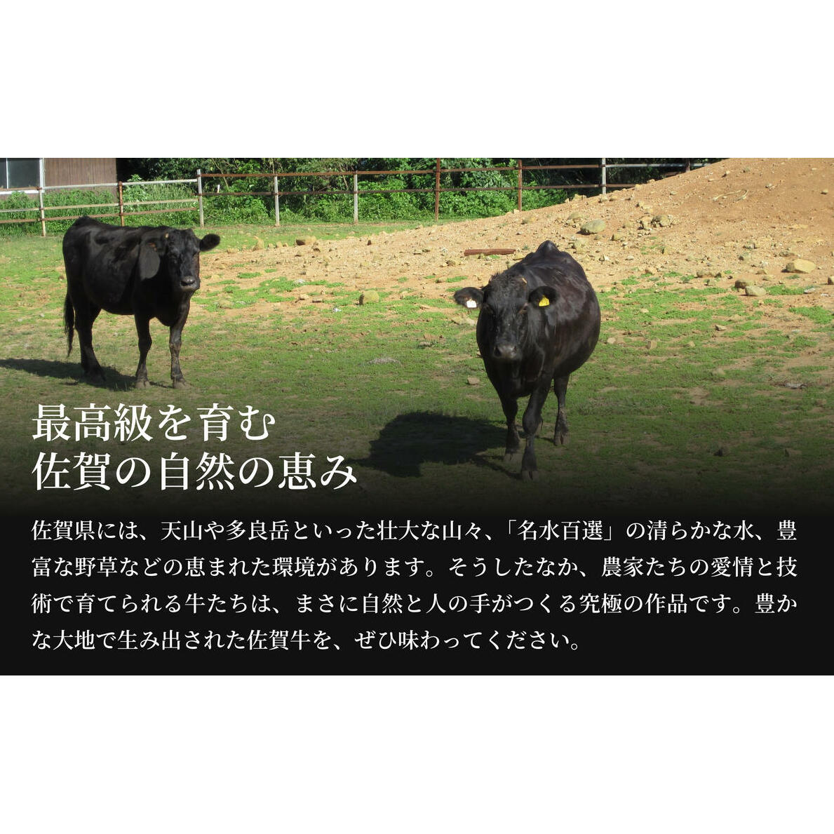 佐賀牛 赤身 モモステーキ 200g×2枚 牛肉 赤身ステーキ 黒毛和牛赤身 和牛赤身ステーキ 赤身ブロック 赤身モモ 赤身 N20-29_イメージ4