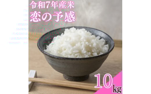 ＜令和7年産米＞恋の予感10kg【1623584】