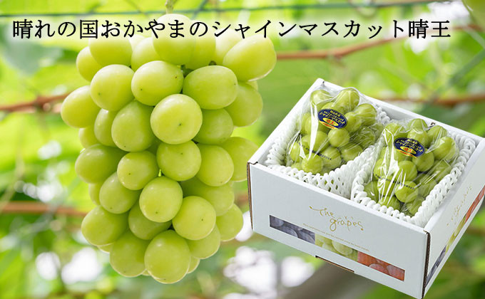 ご家庭用 シャインマスカット 晴王 約400g ×2房 計約800g