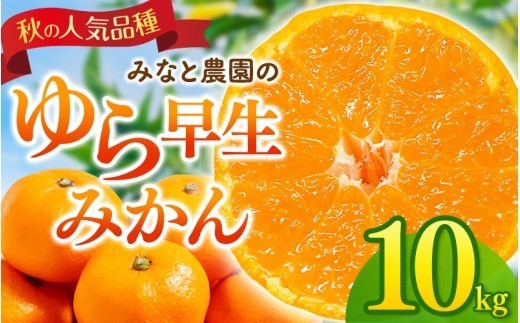 【数量限定】みかん みなと農園のゆら早生みかん  約10kg 2S～Lサイズ混合 【2026年10月中旬頃〜順次発送】 みかん ミカン 蜜柑 温州みかん 温州ミカン ゆら早生 柑橘 フルーツ 果物 くだもの 甘い 旬 人気 果汁 濃厚 ジューシー デザート 産地直送 農家直送 みかん 国産 お取り寄せ 新鮮 期間限定 季節限定 先行予約 おすすめ 三重県 熊野市【mntf0008】