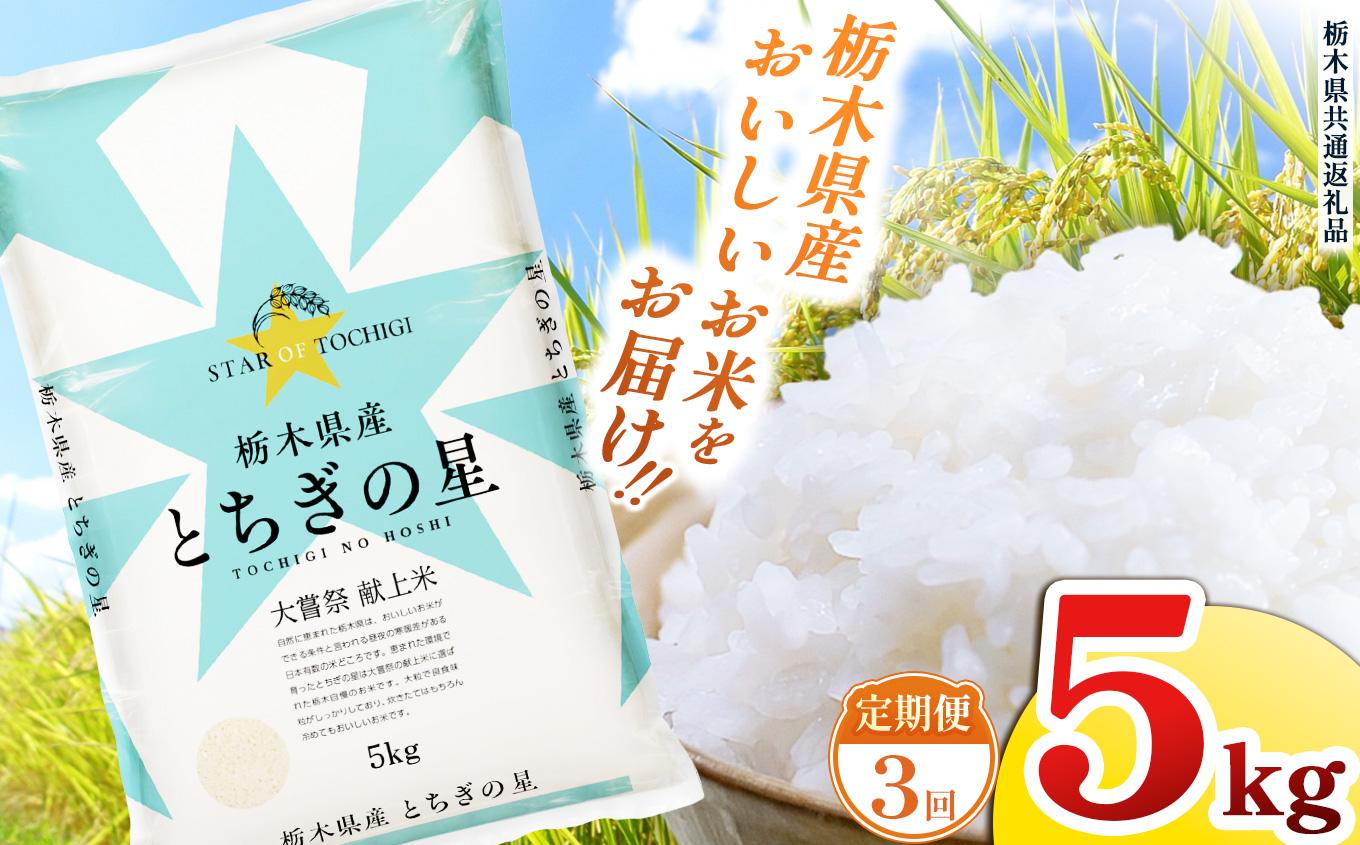 【定期便3回】栃木県産 お米 とちぎの星 ５kg |  栃木県 矢板市 【栃木県共通返礼品】