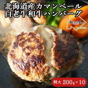 【ふるさと納税】道産和牛カマンベールチーズハンバーグ（200g）10個入り 【ふるさと納税 人気 おすすめ ランキング 北海道産 和牛 ダブルチーズ Wチーズ ハンバーグ 肉 肉厚 チーズ カマンベール デミグラス セット 大容量 詰合せ 北海道 室蘭市 送料無料】 MROA050