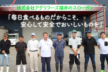 【令和7年産・新米】 おおかわさんちの華越前 10kg 精米 [C-10803]