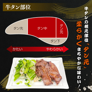 特製塩だれ 厳選 牛たん 牛タン タン肉 焼肉 焼き肉 BBQ バーベキュー 牛肉 たんもと キャンプ 冷凍 沼津 塩タレ牛タン 塩だれ牛たん 焼肉牛たん 特上牛タンの戸田塩ダレ漬け 牛タン 牛タン 