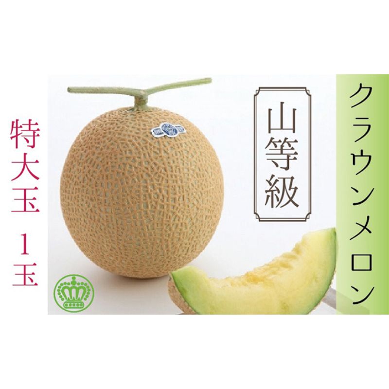 【ふるさと納税】メロン クラウンメロン 山等級 特大玉 1玉 フルーツ 果物 くだもの 高級フルーツ 高級果物 季節のフルーツ 季節の果物 旬のフルーツ 旬の果物 マスクメロン 青肉 めろん 静岡メロン 静岡 静岡県 浜松市 【配送不可：離島】